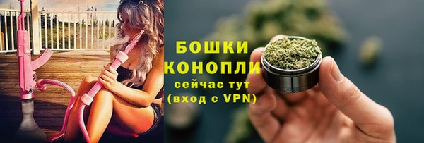 трава Медногорск