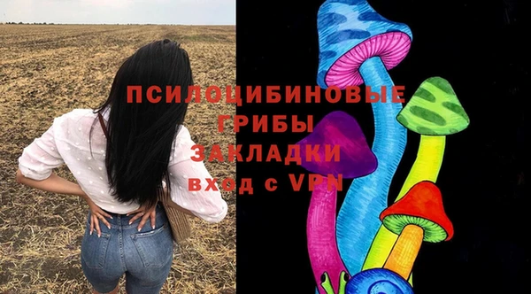 трава Медногорск