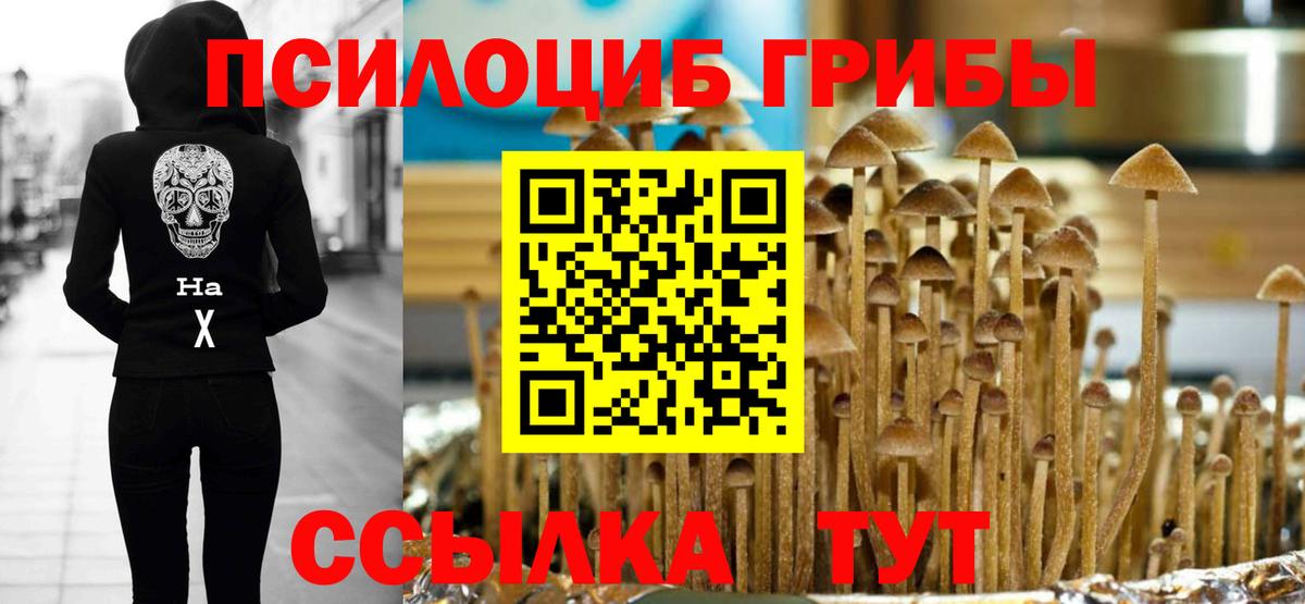 Галлюциногенные грибы мухоморы Шали