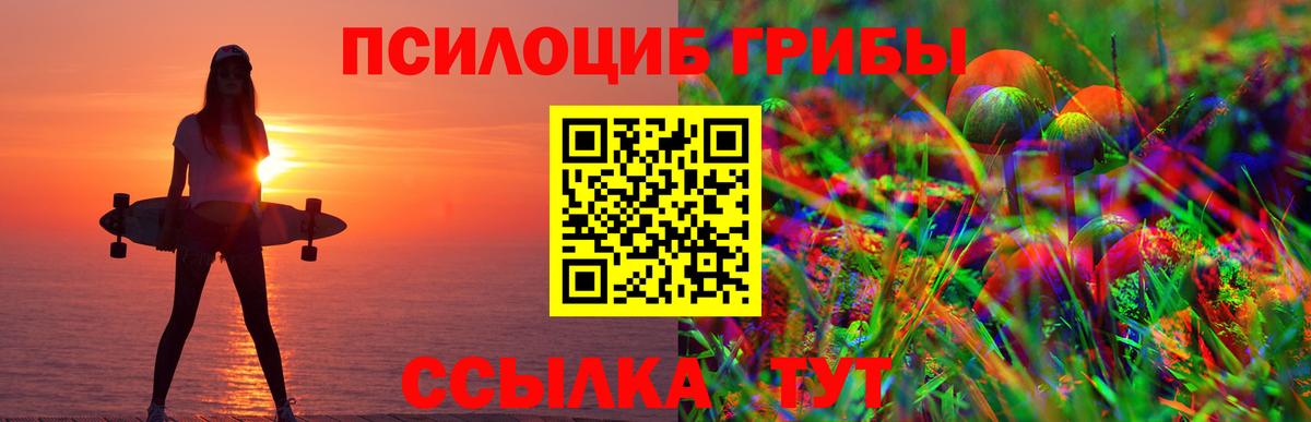 Галлюциногенные грибы прущие грибы Шали